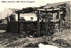 Palica - B- Tenira 040